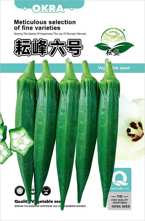 ŷ̖ 